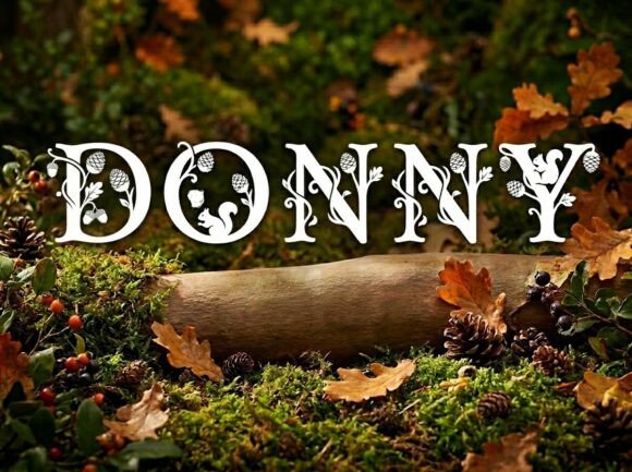 Donny: A Striking Display Typeface for Bold Projects