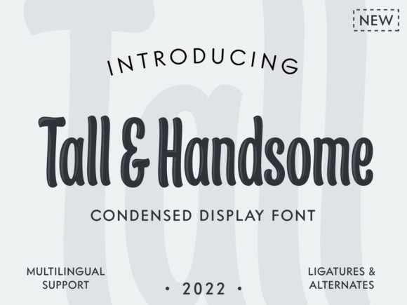 Tall & Handsome: A Stylish Display Typeface
